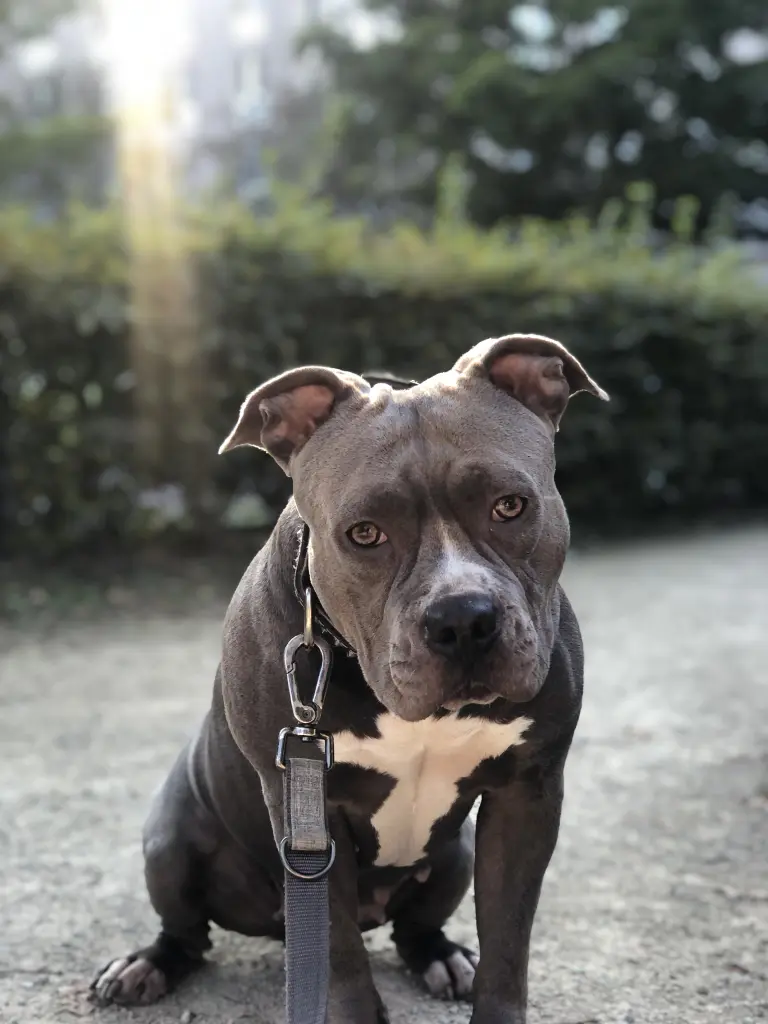 Bild von Bella
