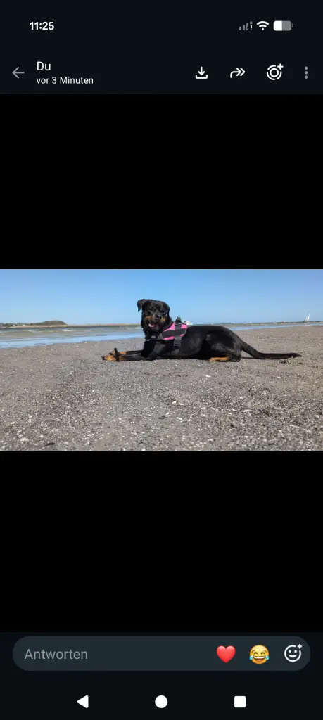 Image from Luna