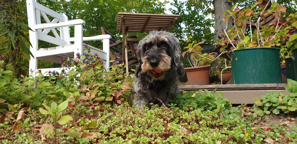 Bild von Olga