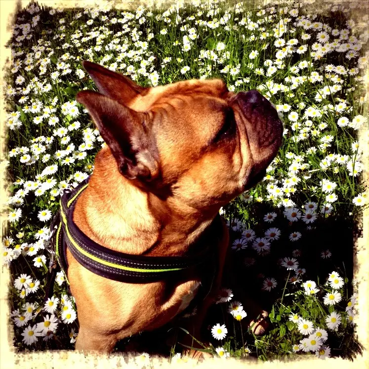 Bild von Spike