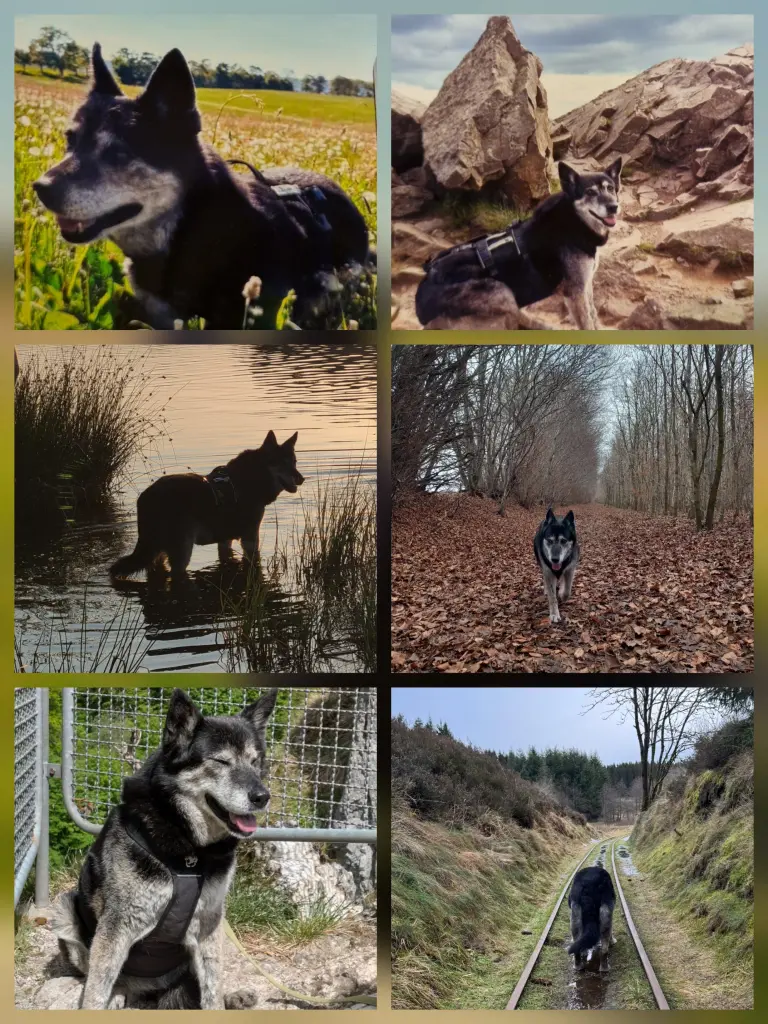Bild von Cassi