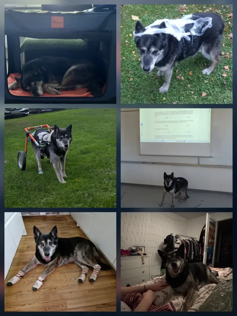 Bild von Cassi