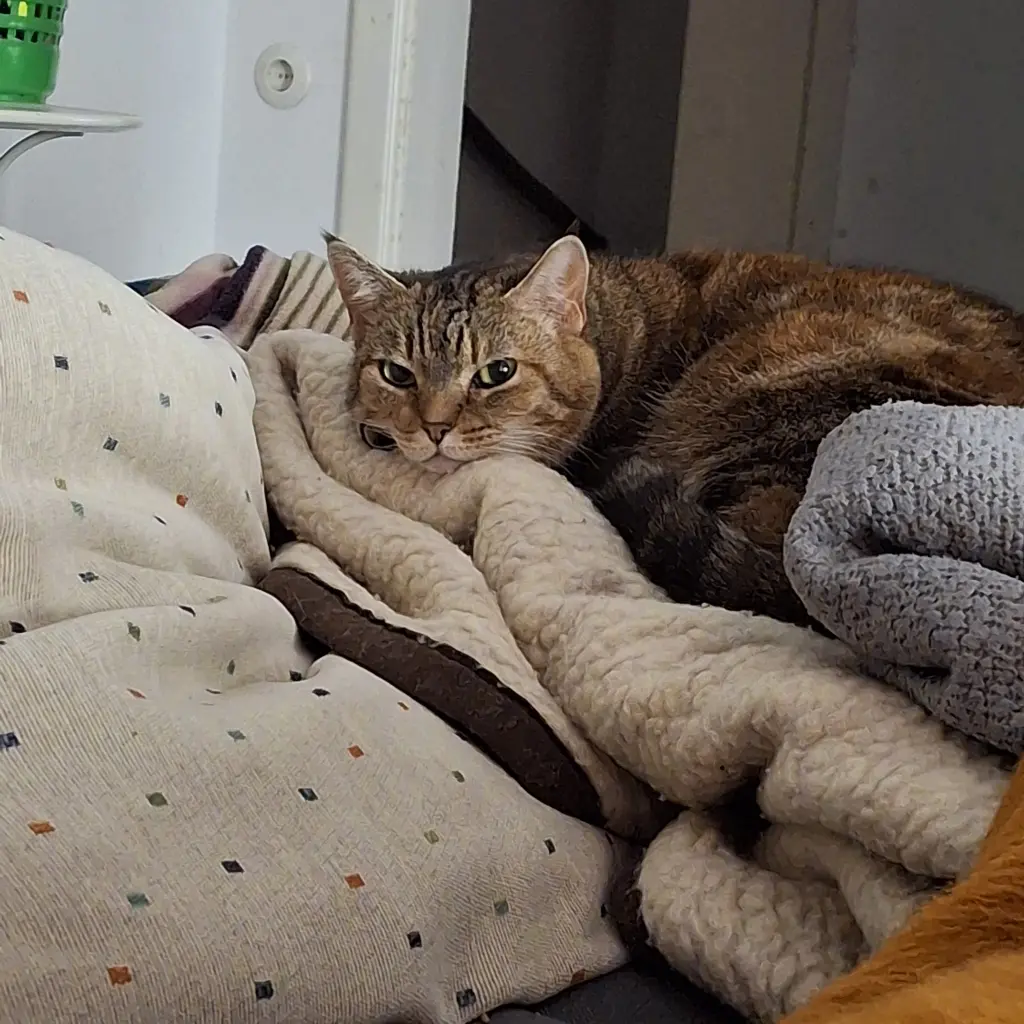 Andachtsbild von Malte Packmohr
