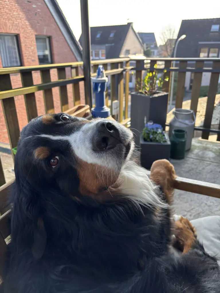Bild von Theo
