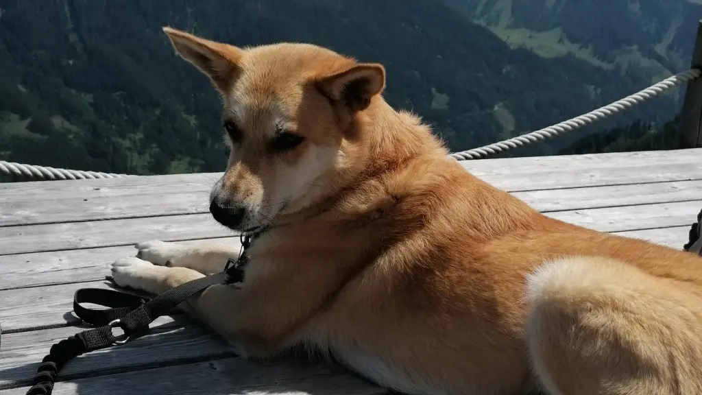 Bild von Flory