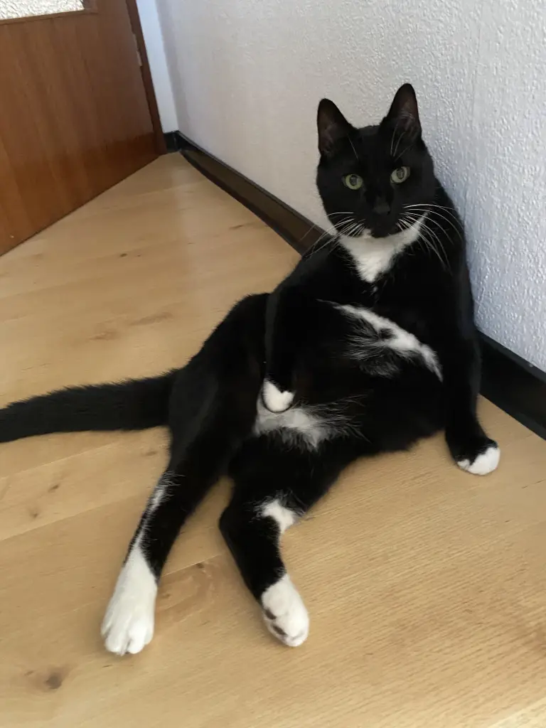 Bild von Willi
