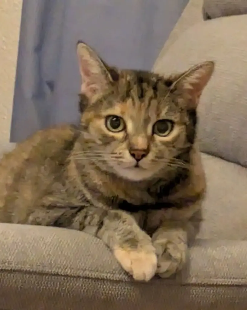 Mein Baby,liebe dich für immer