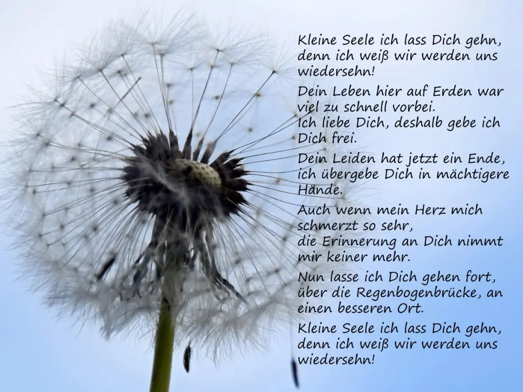 Bild von Celine