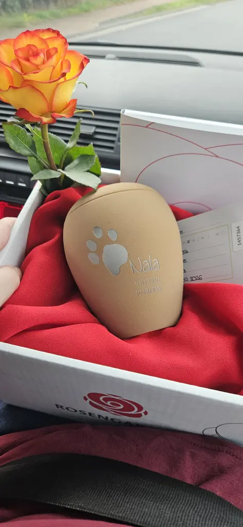 Bild von Nala