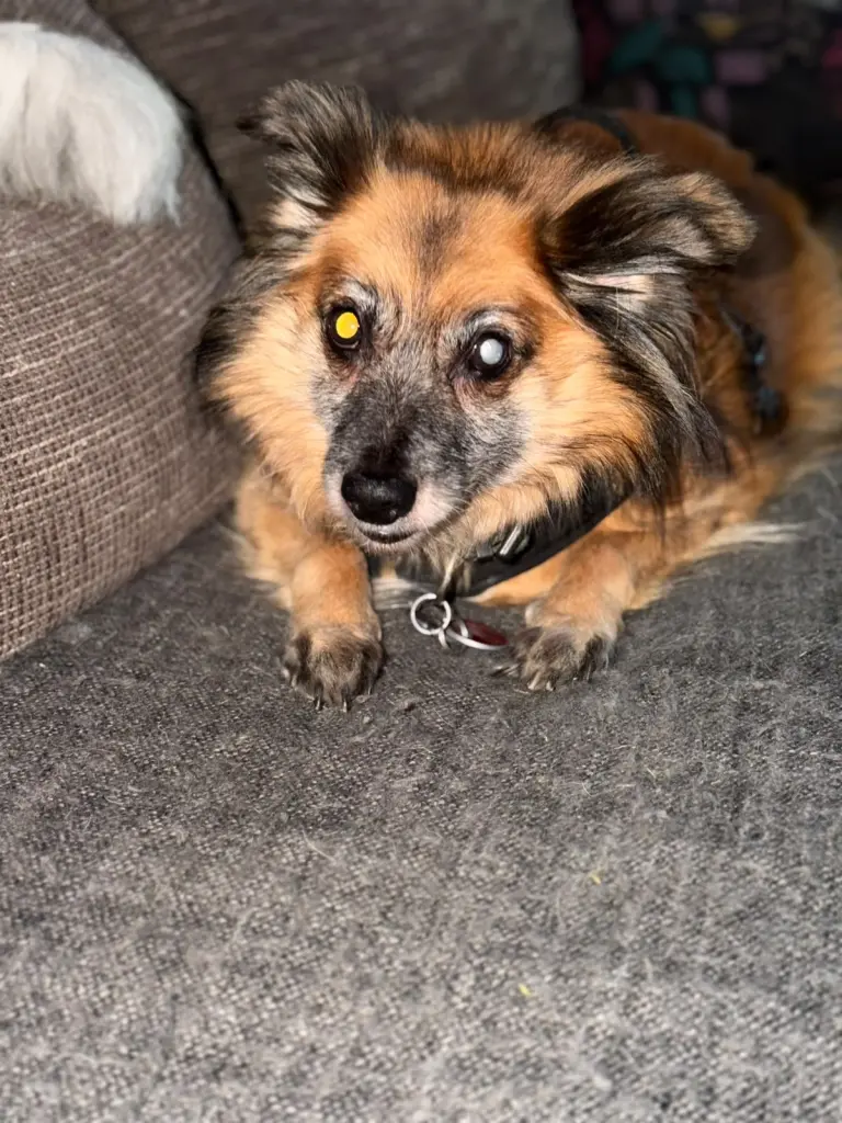 Bild von Charly