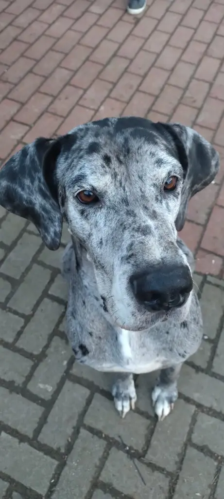 Bild von Amy