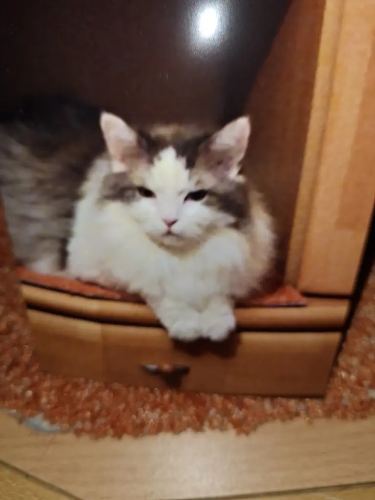 Bild von Filou