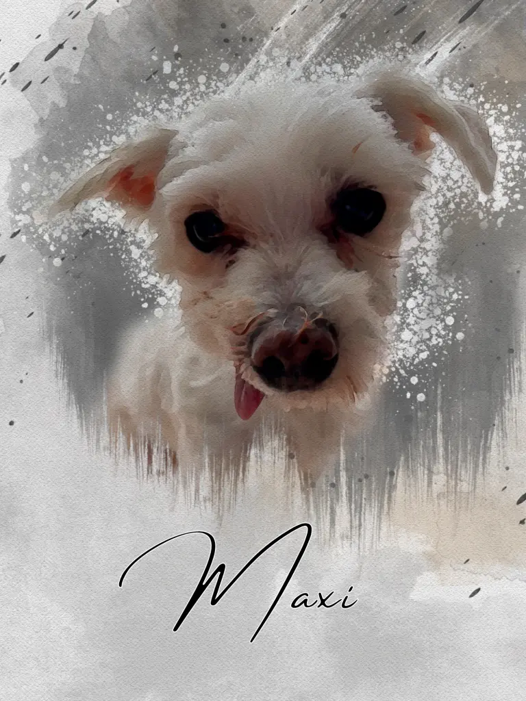 Image from Maxi