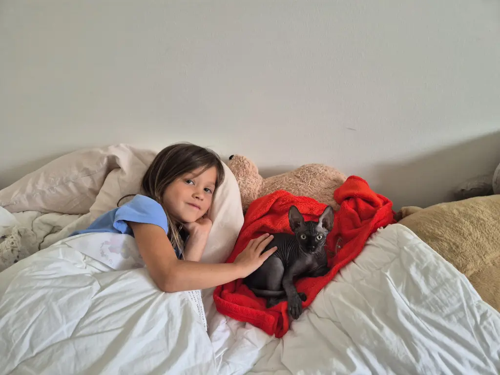 Bild von Dobby