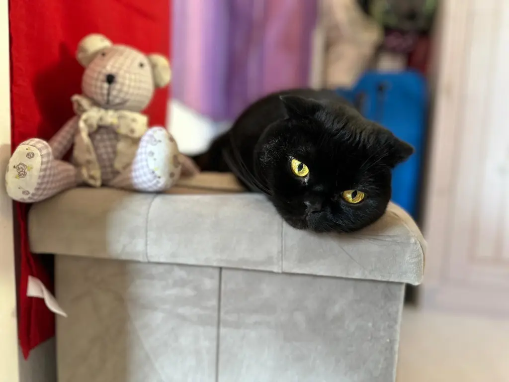 Bild von Salem