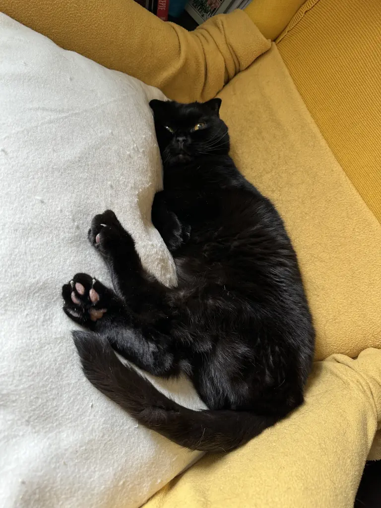 Bild von Salem