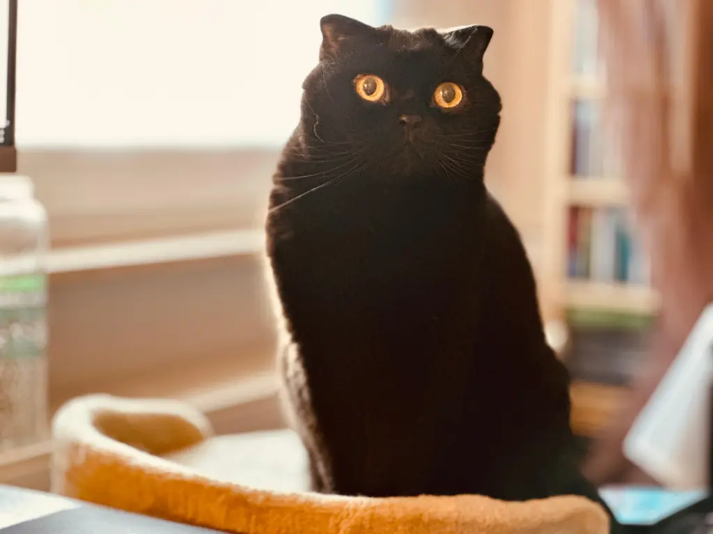 Bild von Salem