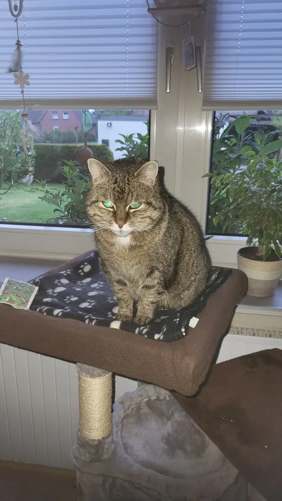 Bild von Flo