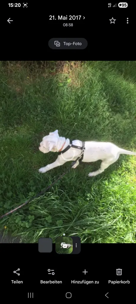 Bild von Jack
