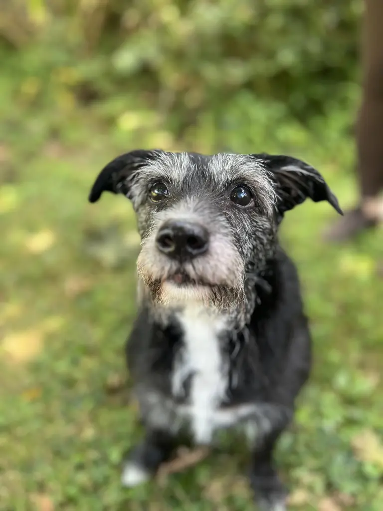 Bild von Emma