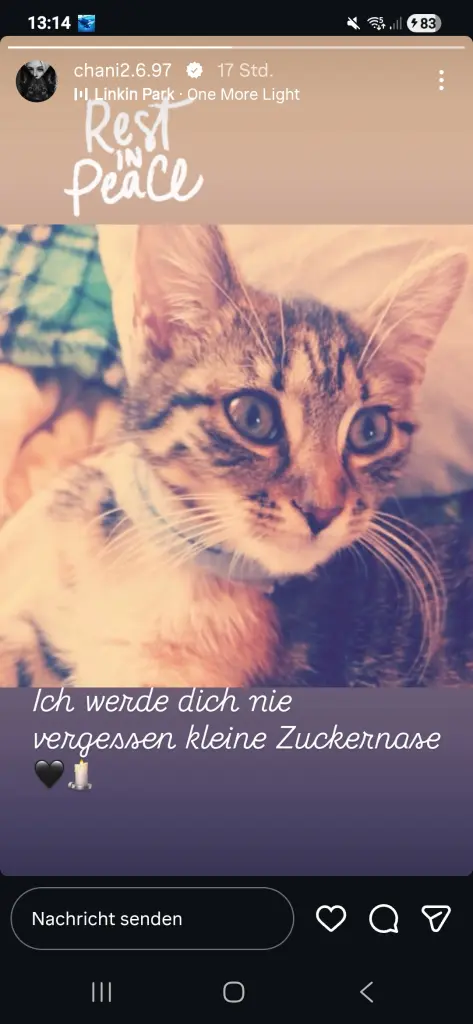 Bild von Nala