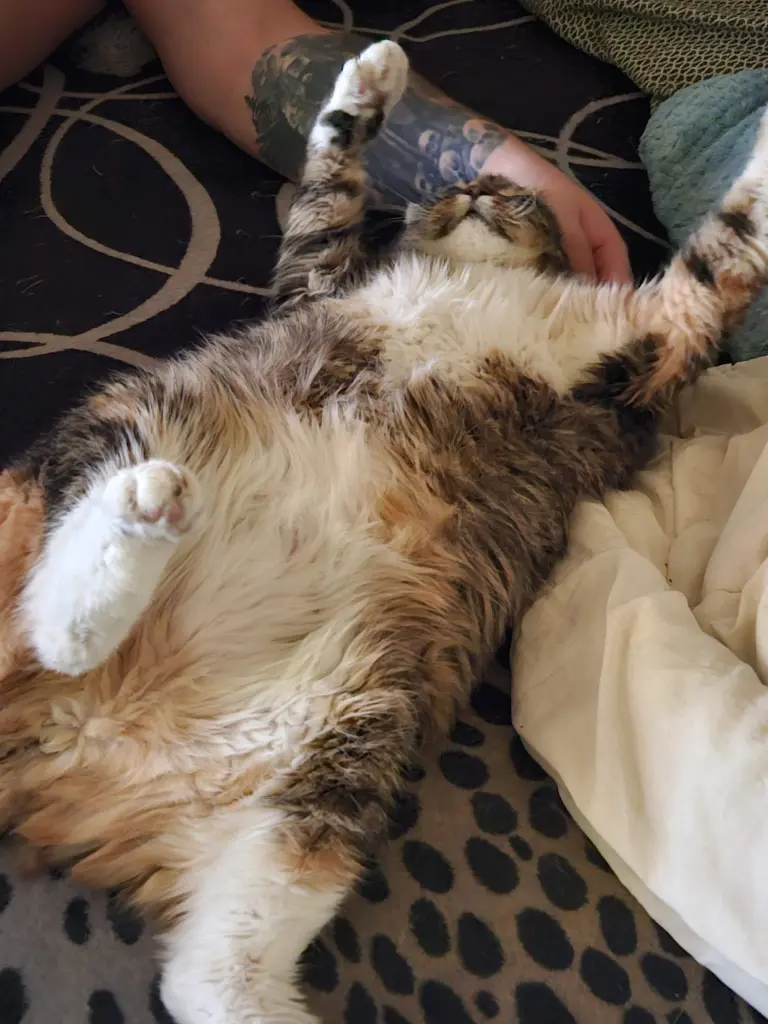 Bild von Nala