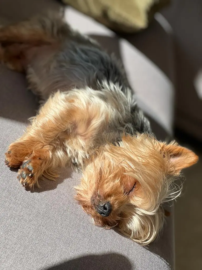 Bild von Luki