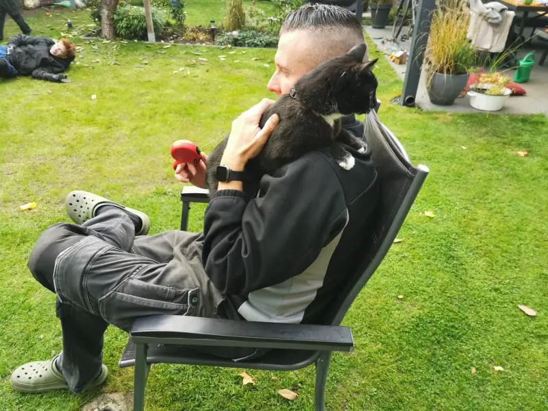 Bild von Nero