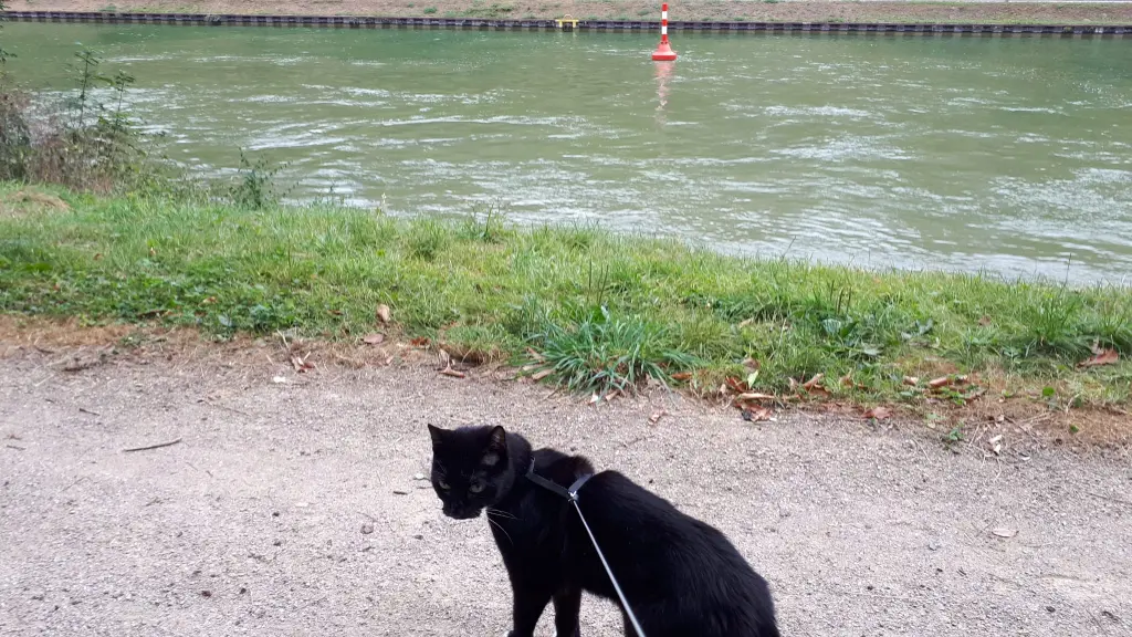 Bild von Nero