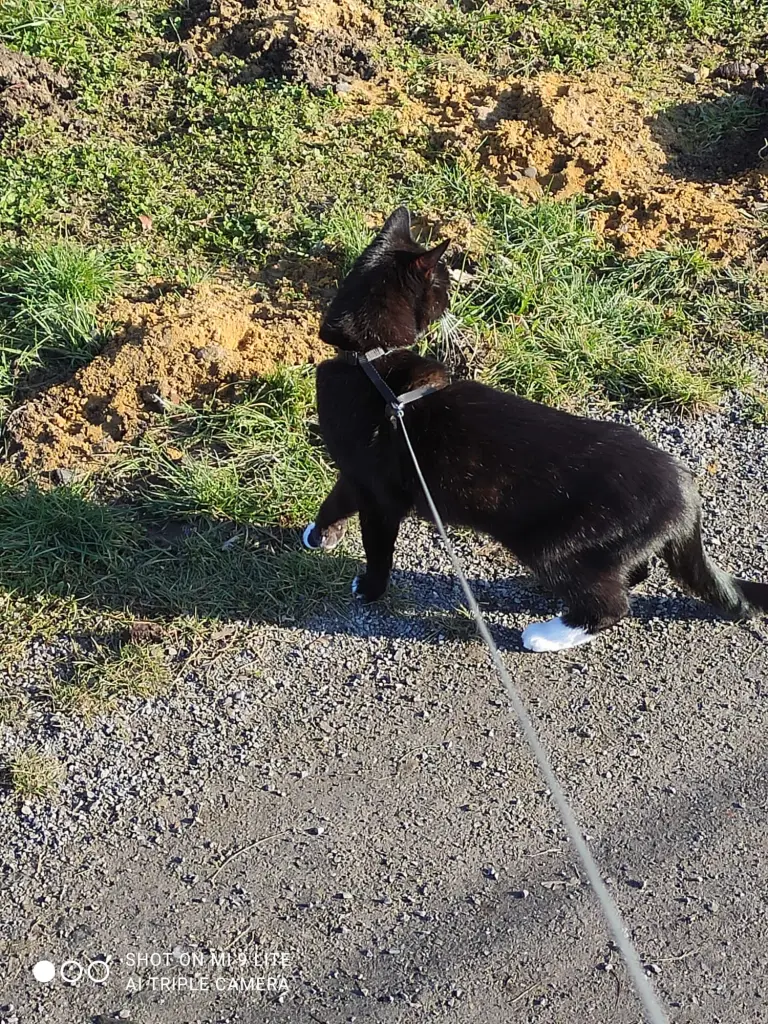 Bild von Nero