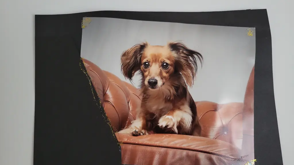 Bild von Sophie