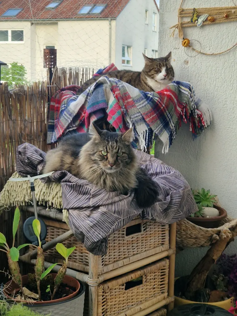 Bild von OscaLu