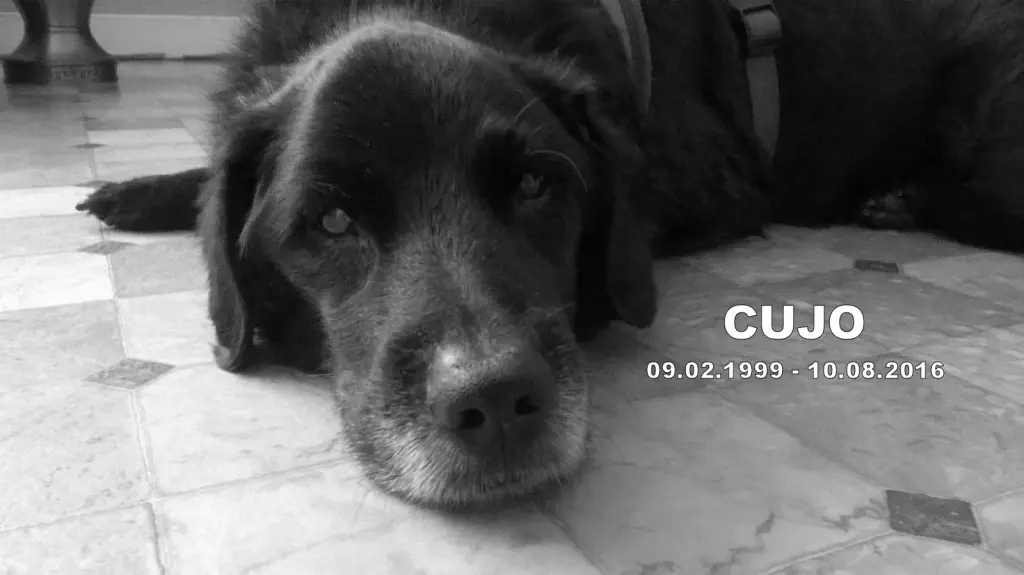 Condolence image of Dietmar