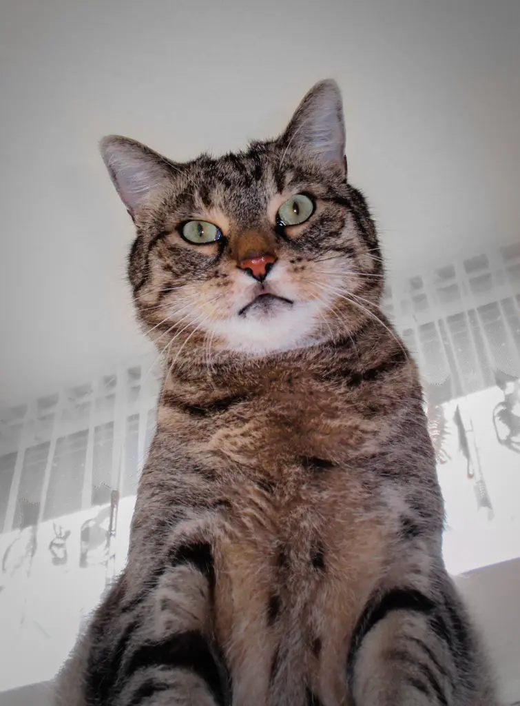 Condolence image of Catrin