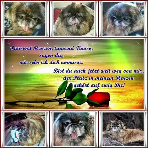 Image from mein Knuffelchen Sina