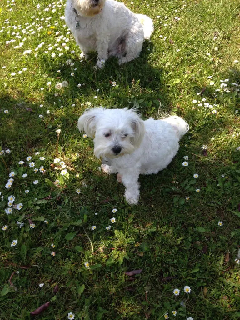 Image from Sunny