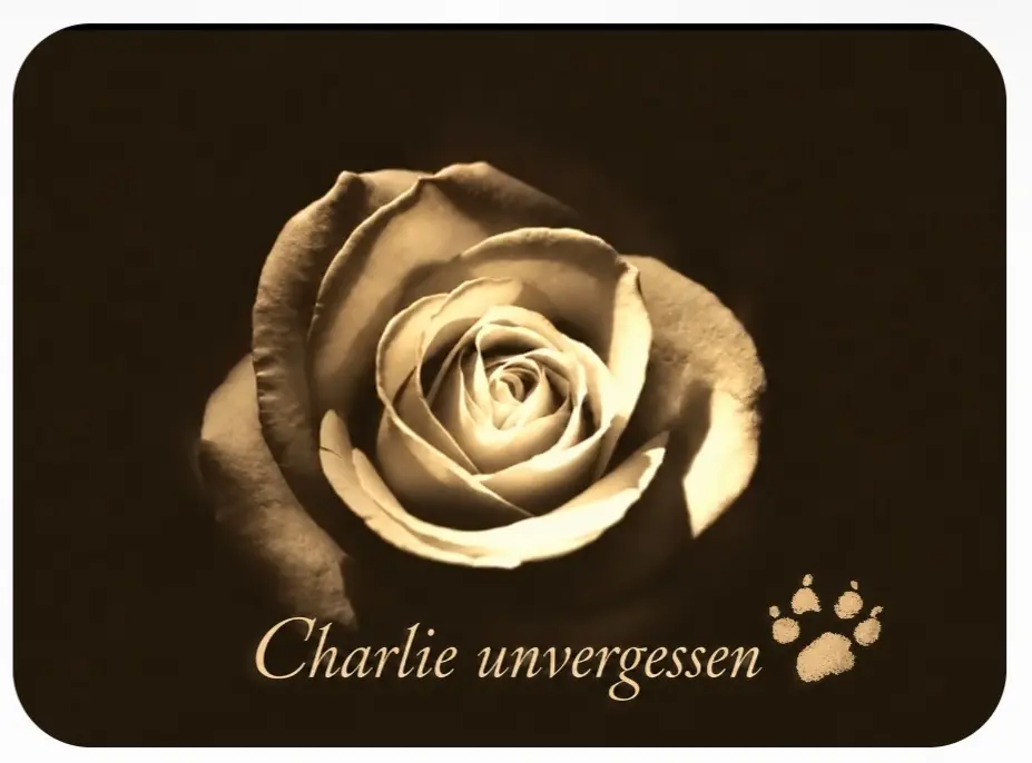 Condolence image of Ingo "I" Weiß