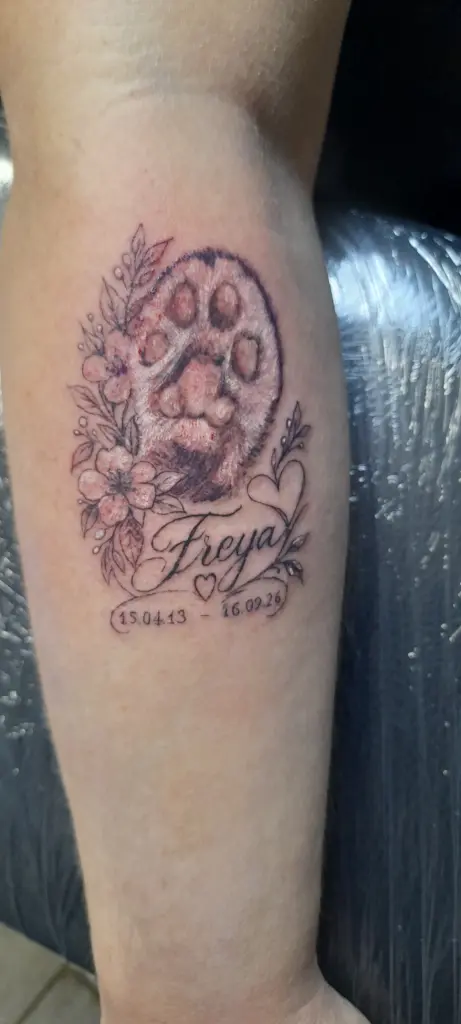 Bild von Freya