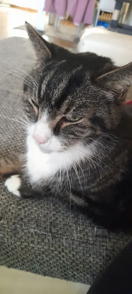 Bild von Freya