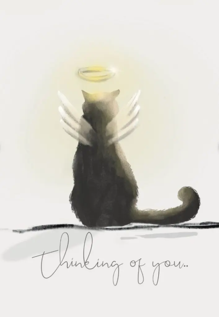 Condolence image of Jasmin Mallwitz