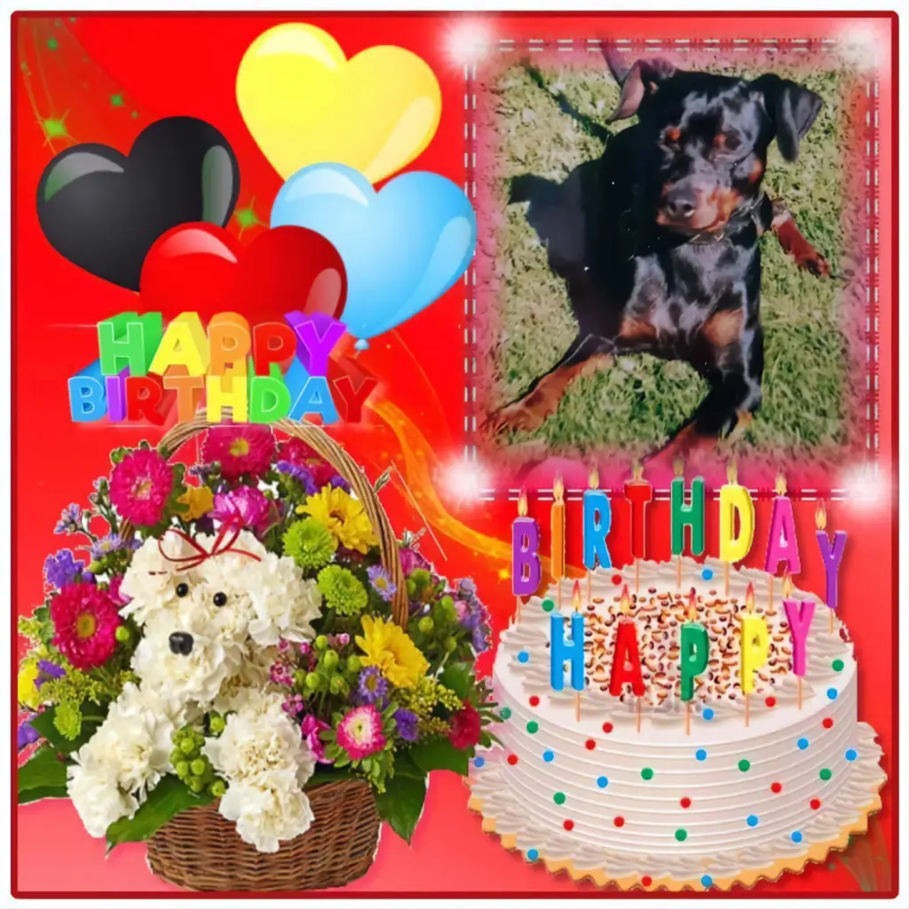 Condolence image of 25.Geburtstag❤️❤️❤️❤️❤️❤️❤️❤️🐕❤️⭐️