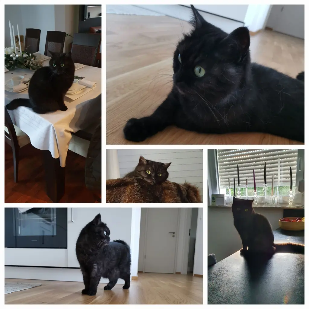 Bild von Emy