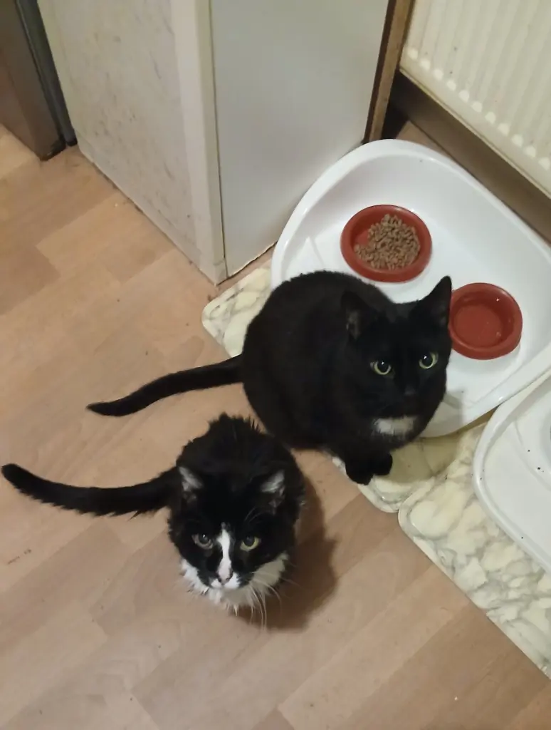 Maxel & Pepels