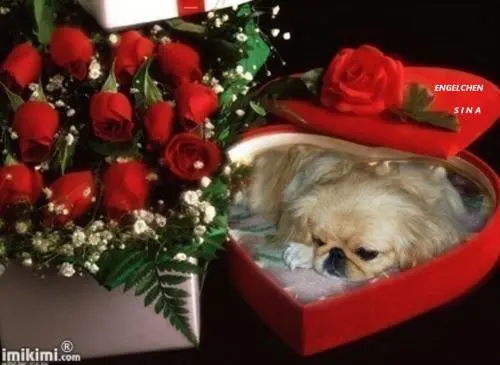 Image from ? mein kleines süßes Baby ?