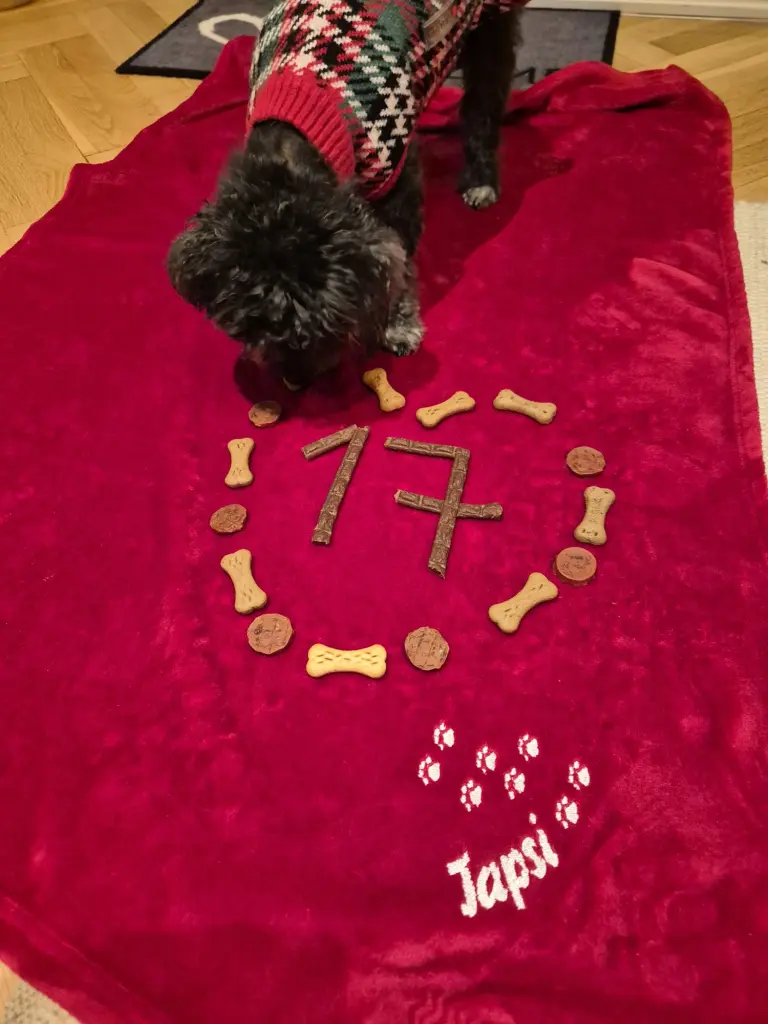 Dein letzter Geburtstag.