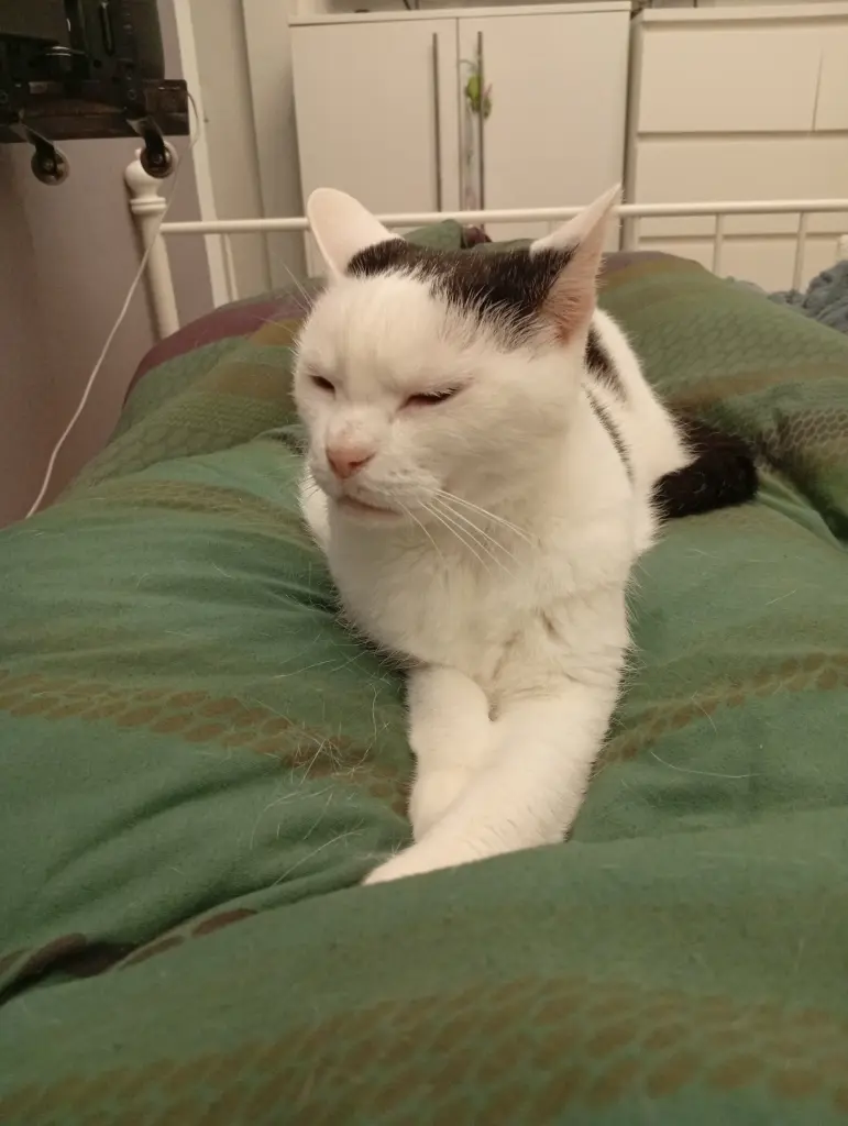 Bild von Frieda