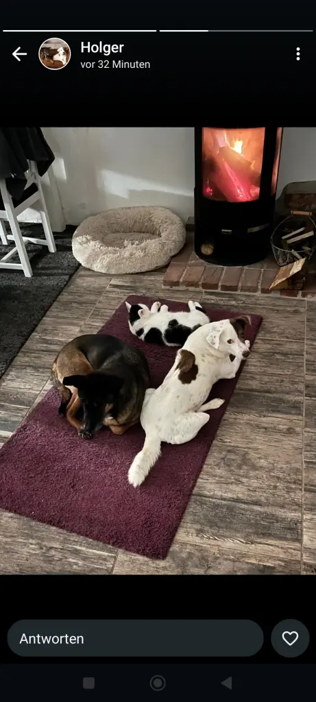 Bild von Frieda