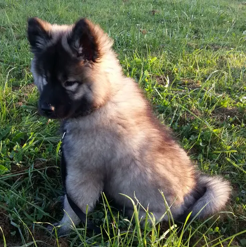 Bild von Cassy