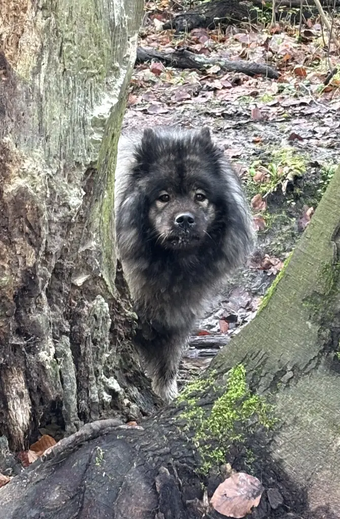 Bild von Cassy