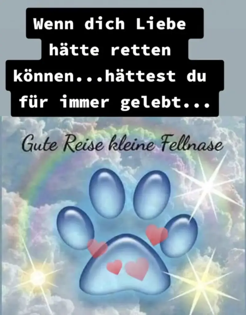 Andachtsbild von A. D.